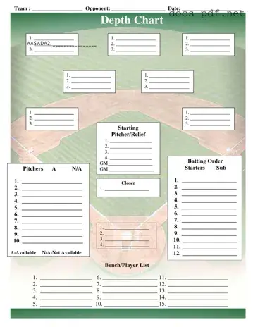 Baseball Field Lineup Form in PDF
