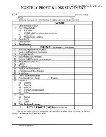 Profit And Loss Form in PDF